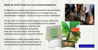 Natuurkist langsgrepen massief Douglas hout